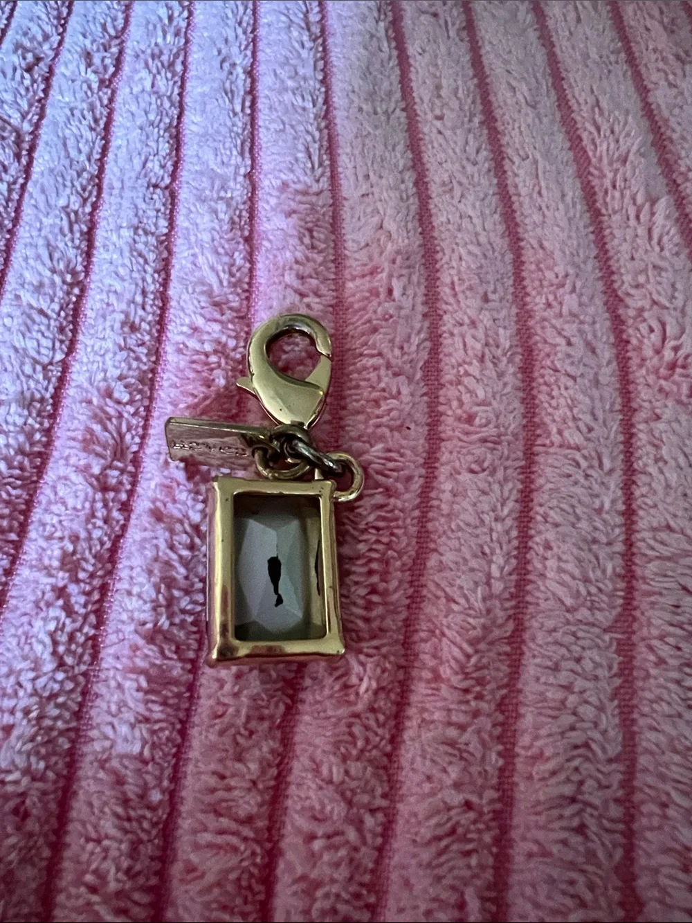 Coach x Wizard of Oz Emerald Charm